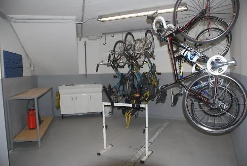 Primula Алассио