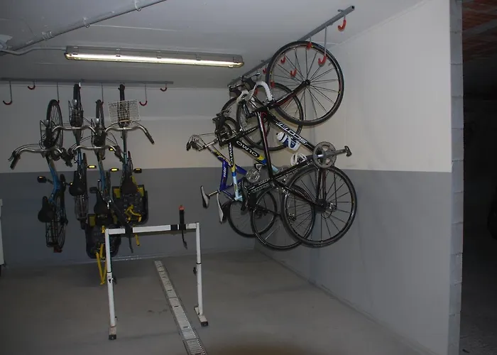 Primula 알라시오