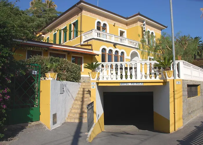 Primula ألاسيو